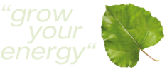 Pappalblatt mit Lignovis Claim "Grow your energy"