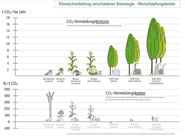 Schaubild Klimaschutzbeitrag verschiedener Bioenergie-Wertschöpfungsketten