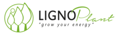 Logo LignoPlant - Pflanzgutshop für Pappeln und Weiden